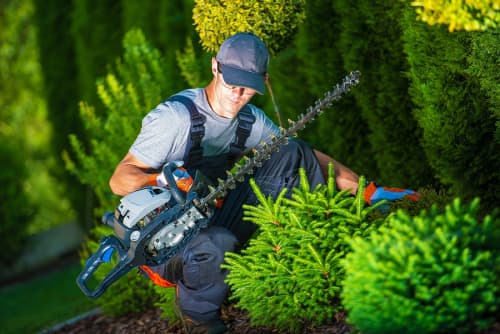 Garden Maintenance & Landscaping
