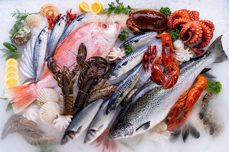 Seafood - Fish & Chips - Retail - Takeaway