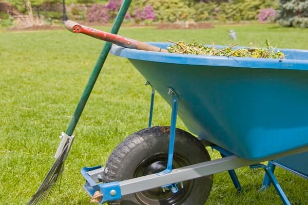 Garden - Services - Landscaping - Property Maintenance - Gardening